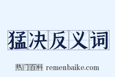 猛决反义词是什么意思的图片